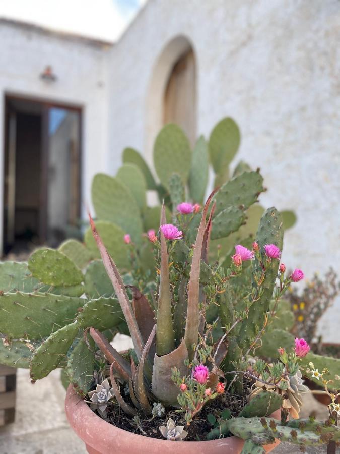 Casa Trieste 阿尔贝罗贝洛 外观 照片
